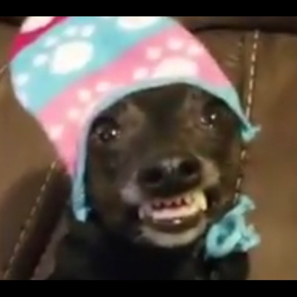 Meet your Posher, Alexandra